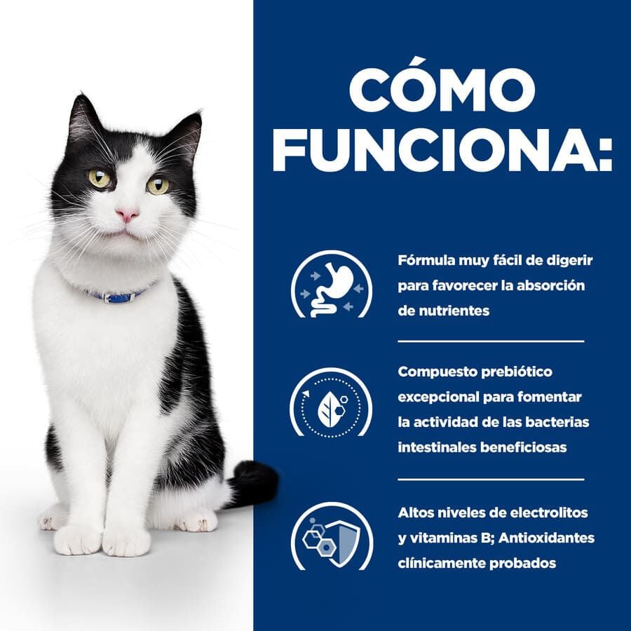 12 sobres x 85 g Hill's Prescription Diet Digestive Care i/d Pollo en salsa sobre para gatos , , large indicador imagen numero 4